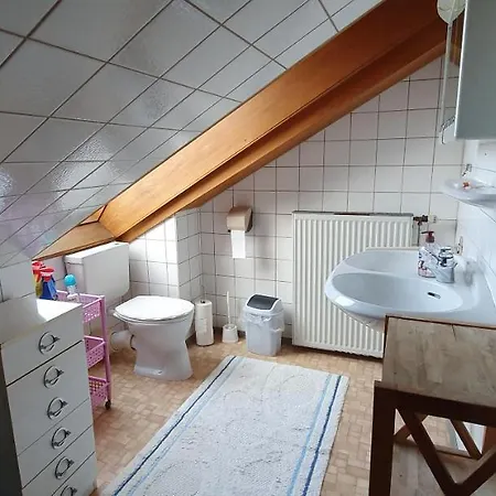 Sonnige Ruhige Dachzimmer Inkl Wifi Plus Kaffee Mit Wg Dusche Und Neuer Kueche Lorrach Exterior photo